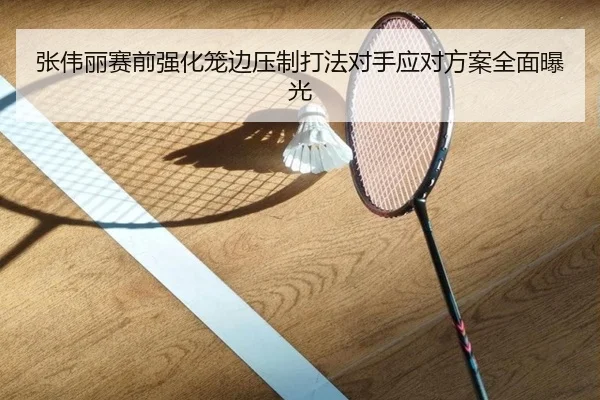 张伟丽赛前强化笼边压制打法对手应对方案全面曝光